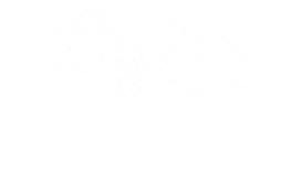 NatCar logo